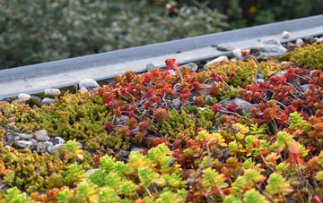 the cost of Stitchcombe green roof installation