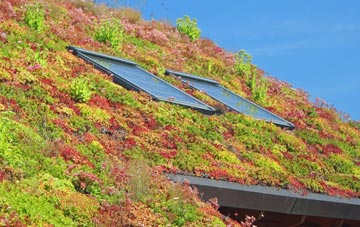 Stitchcombe living roof systems