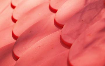 Stitchcombe plastic roof costs