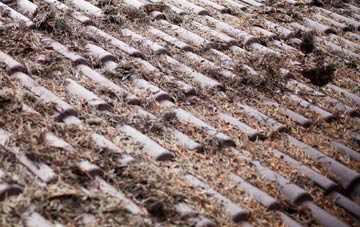 Stitchcombe roof cleaning companies