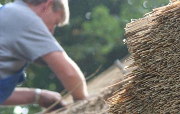 professional Stitchcombe thatchers